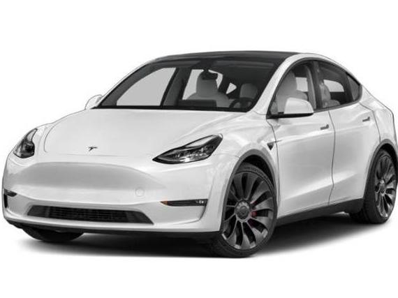 TESLA MODEL Y 2021 5YJYGDEE5MF144905 image